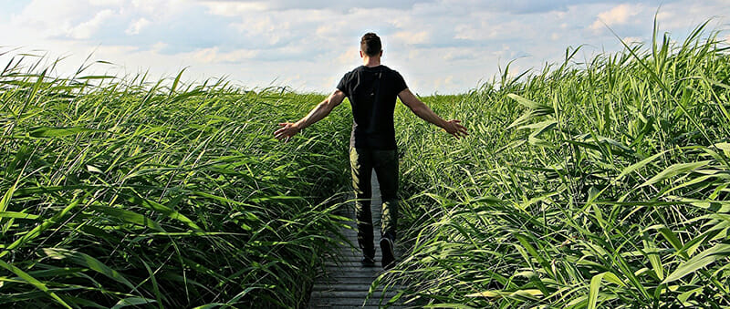 Man walking through an open green field and bright blue sky resembling freedom of alcohol and drug addiction