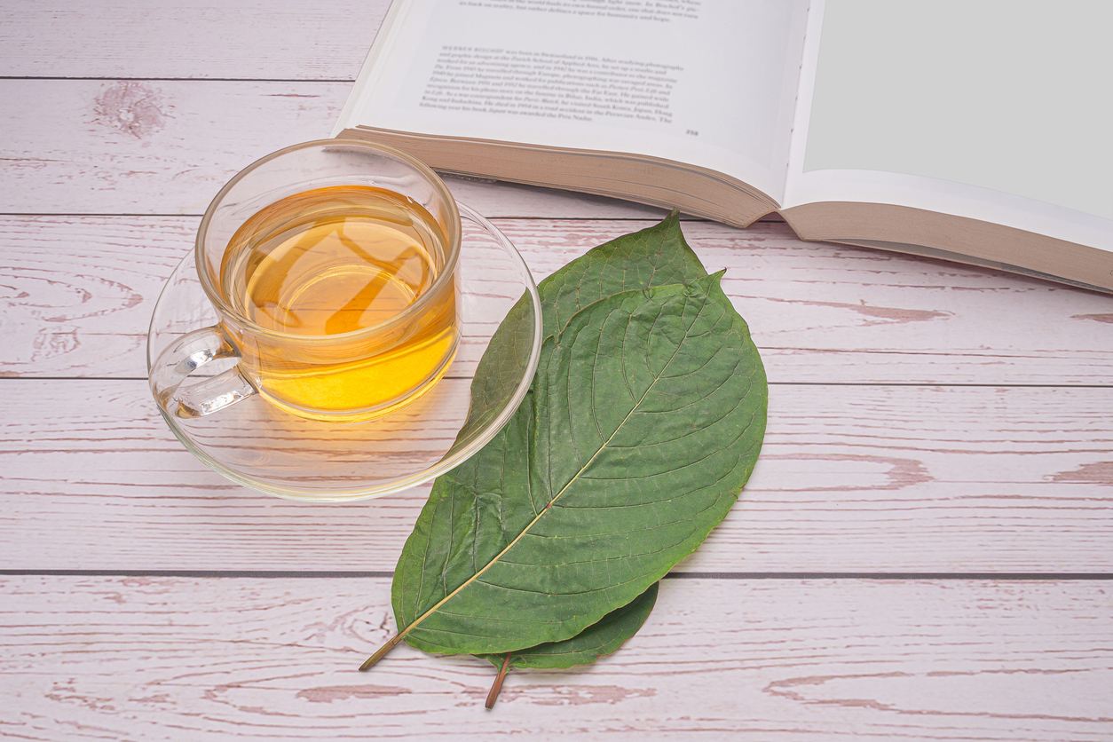 Top view of Mitragyna Speciosa or Kratom leaves with a teacup and a book on a wooden table