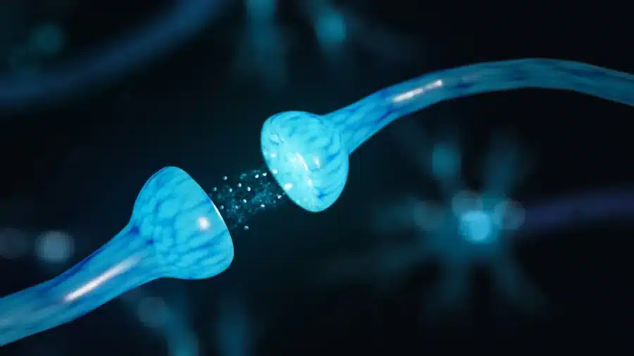 Three-dimensional illustration of a synapse showing neurotransmitter activity, representing how buprenorphine interacts with opioid receptors in the brain. Three-dimensional illustration of a synapse showing neurotransmitter activity, representing how buprenorphine interacts with opioid receptors in the brain.