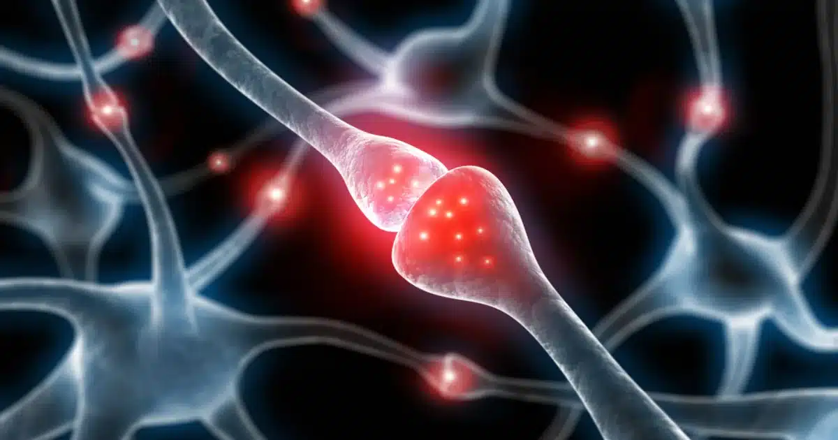 Neurotransmission during buprenorphine treatment Solstice Health & Wellness Neurotransmission during buprenorphine treatment Solstice Health & Wellness