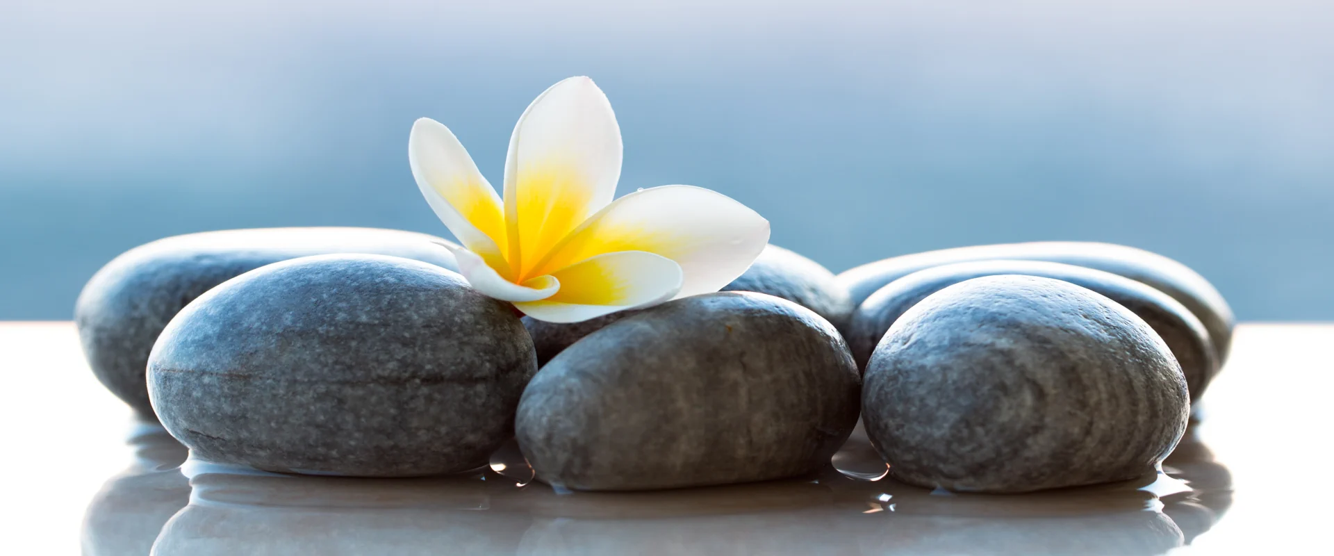 Plumeria flower and stones representing lifestyle medicine and wellness care Solstice Health & Wellness Sarasota FL